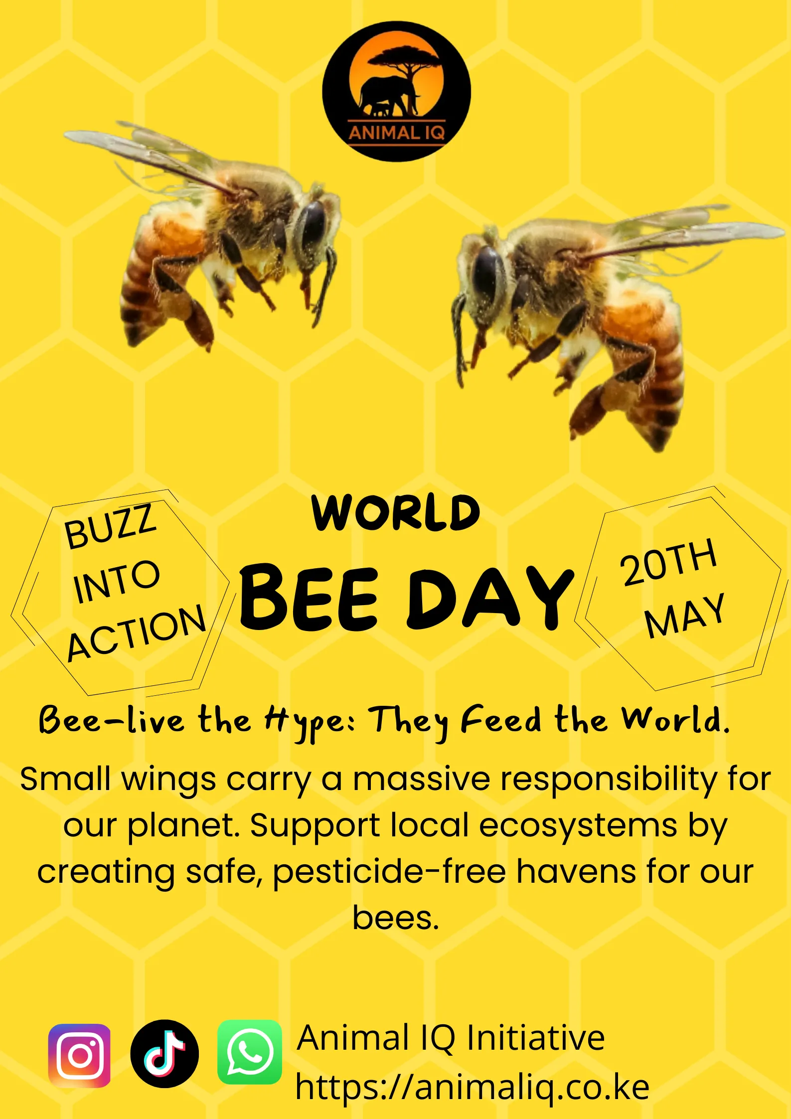 World Bee Day