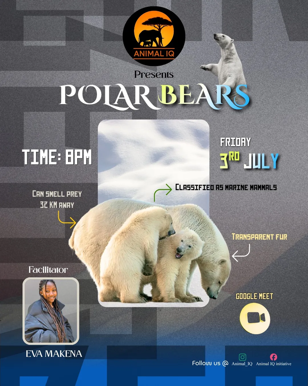 Polar Bears: Arctic Icons Under Pressure
