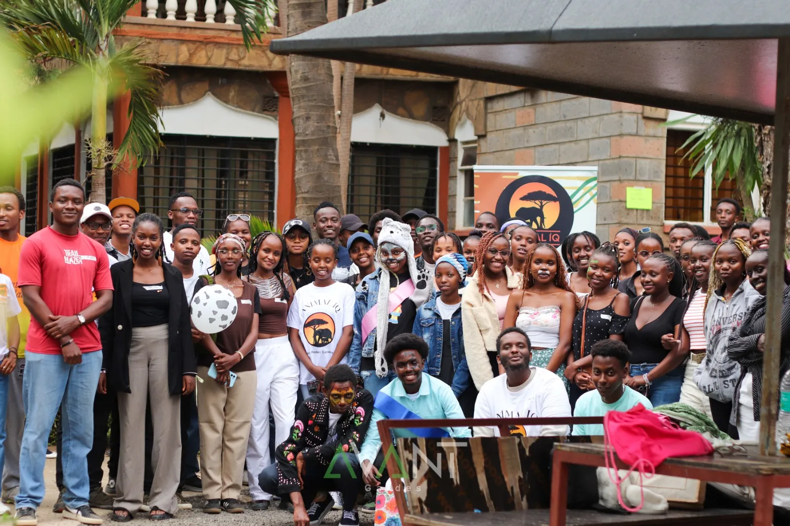 Animal IQ wildfest 2025