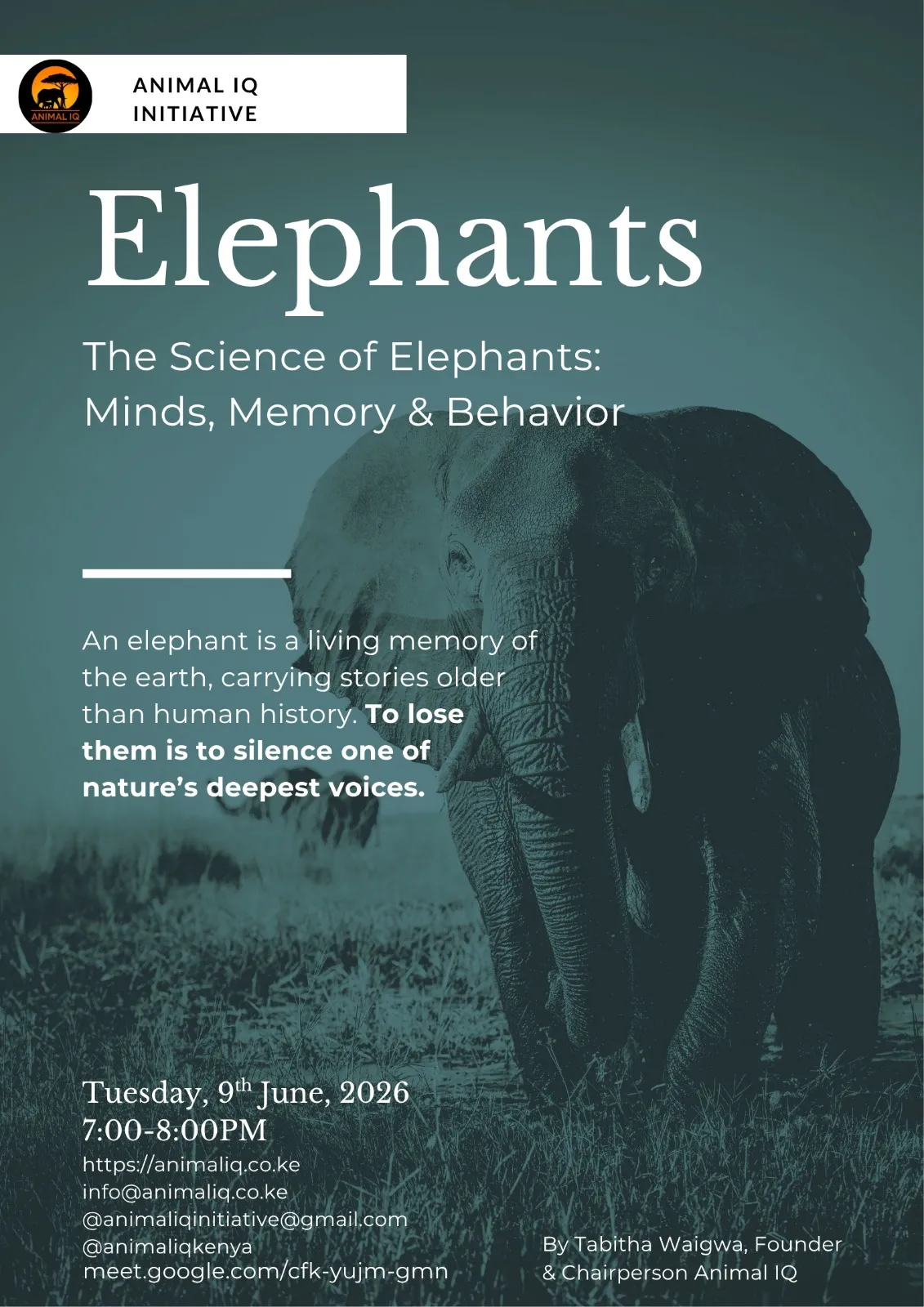 The Science of Elephants: Memory, Minds, Behaviour. (Hosted by Tabitha Waigwa, Animal IQ)