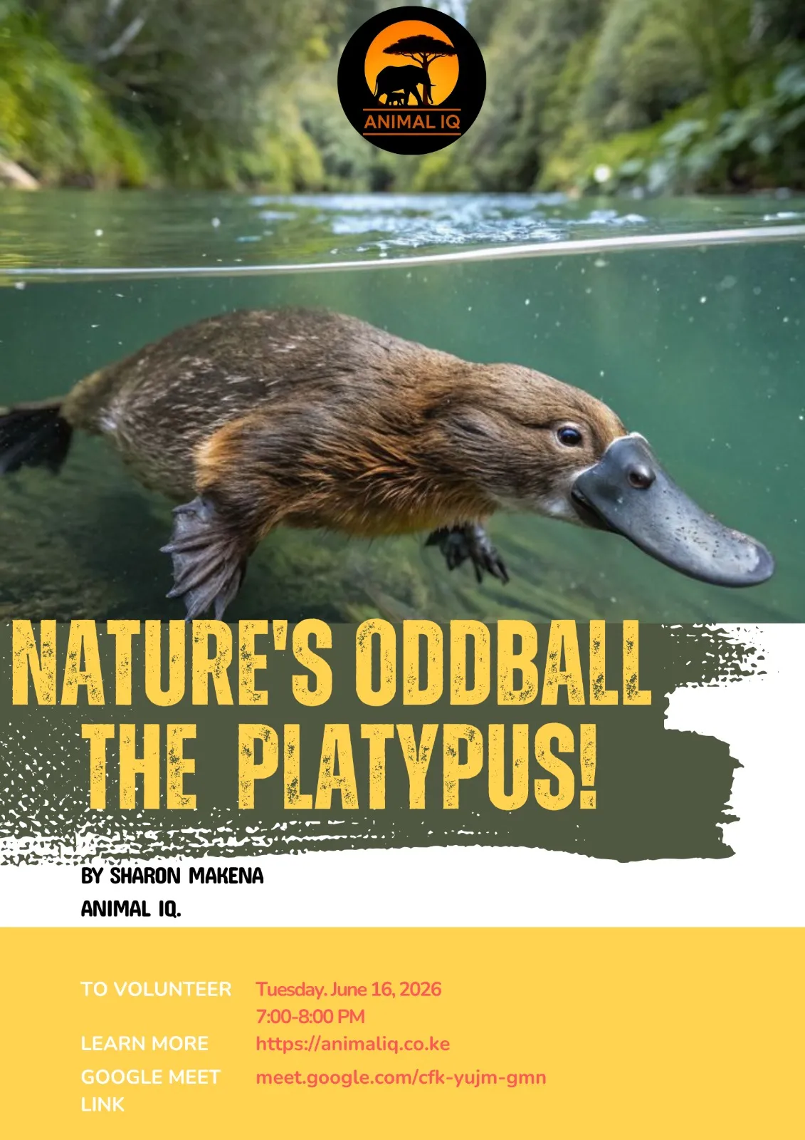 Meet the Duck-Billed Platypus: The Animal That Breaks All the Rules. (Hosted by Sharon Makena. Animal IQ)