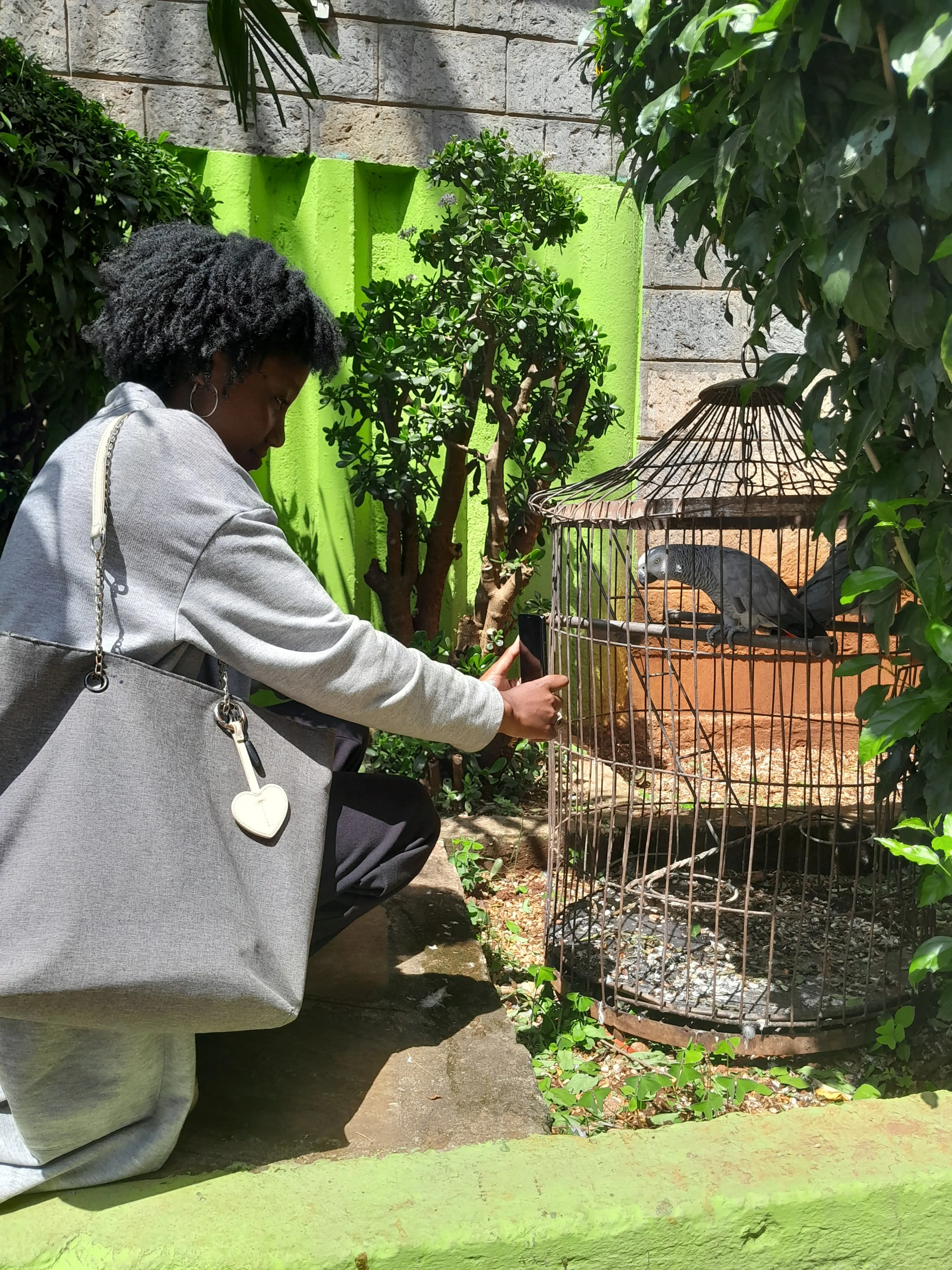 Birdwatching Guide Training Session – Animal IQ Initiative