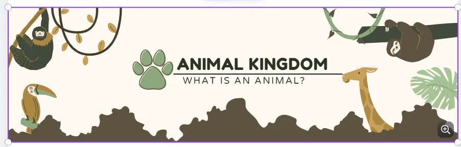 THE ANIMAL KINGDOM