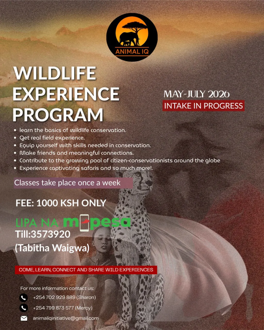🌍 Wildlife Experience Program: Learn, Explore & Connect