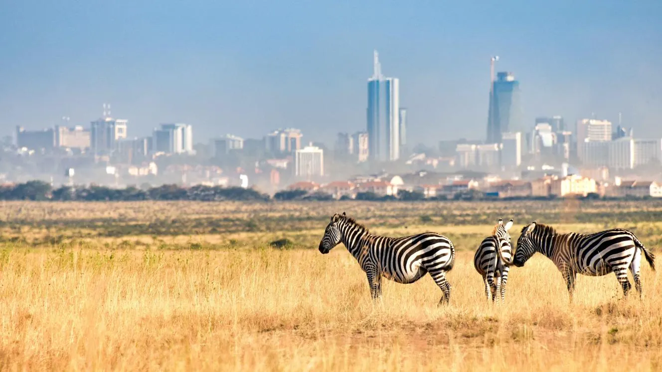 The Mind of the Future: Mapping Youth Conservation IQ in Nairobi